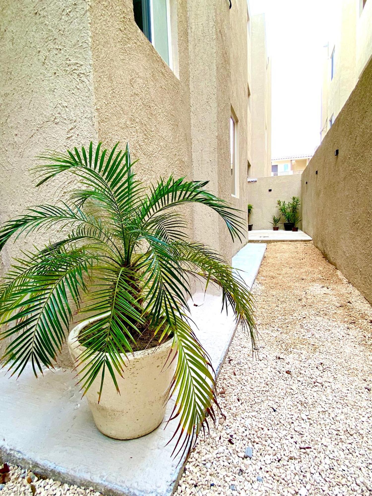 Casa Etna Apartment แคนคูน ภายนอก รูปภาพ