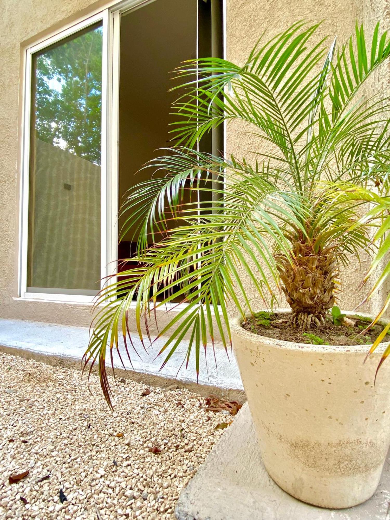 Casa Etna Apartment แคนคูน ภายนอก รูปภาพ